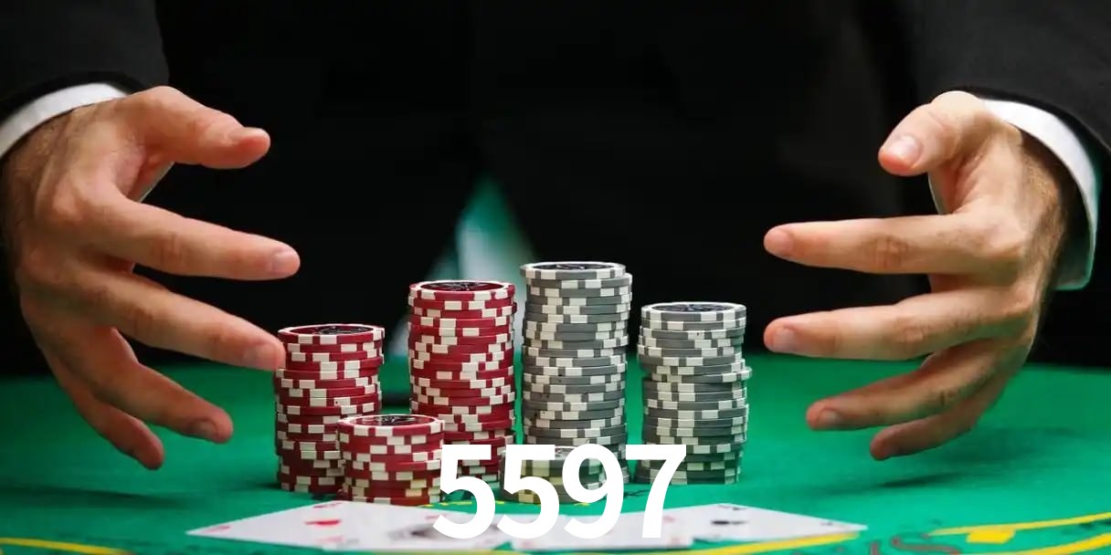 5597 termos — contrato de uso e regulamento da plataforma